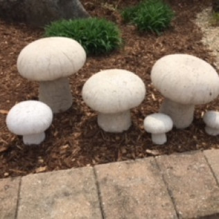 Hypertufa Outdoor Landscape And Supplies